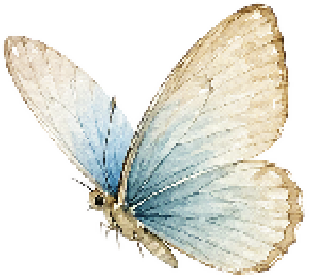 Mariposa