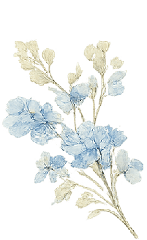 Flores